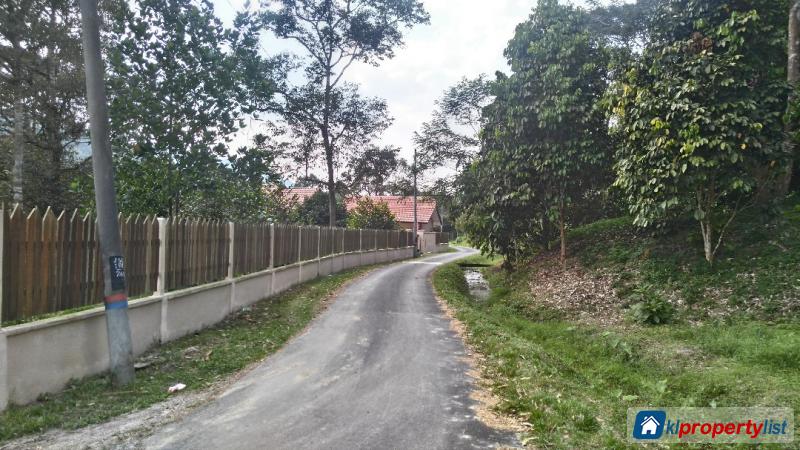 Agricultural Land for sale in Hulu Langat - image 2