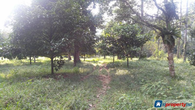 Agricultural Land for sale in Hulu Langat - image 3