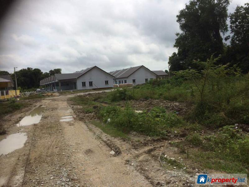 Agricultural Land for sale in Pekan - image 2