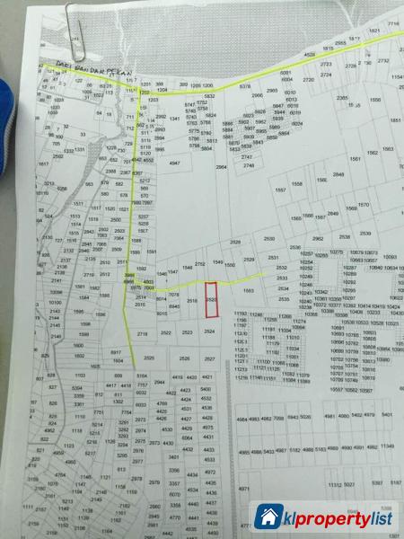 Agricultural Land for sale in Pekan - image 3