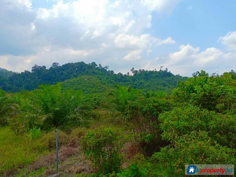 Industrial Land for sale in Setiu
