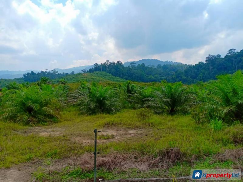 Industrial Land for sale in Setiu in Terengganu