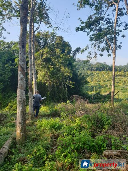 Residential Land for sale in Kuala Pilah - image 3