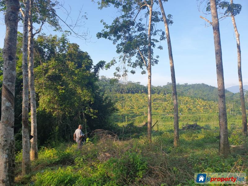 Residential Land for sale in Kuala Pilah - image 6