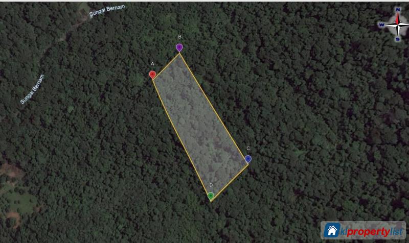 Agricultural Land for rent in Kuala Kubu Baru - image 5