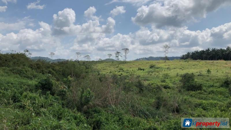 Agricultural Land for sale in Mersing - image 2