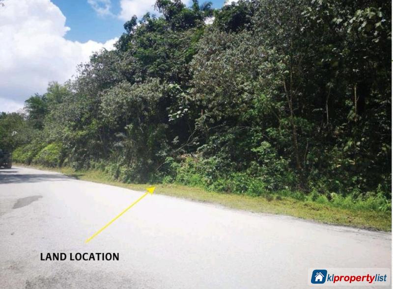 Agricultural Land for sale in Semenyih - image 4