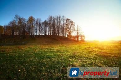 Picture of Agricultural Land for sale in Bemban