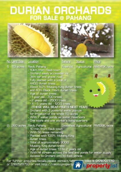 Pictures of Agricultural Land for sale in Raub