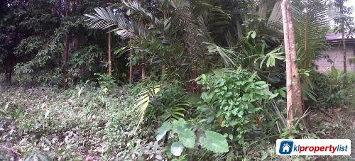 Picture of Agricultural Land for sale in Kota Bharu