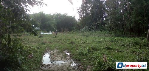Agricultural Land for sale in Kota Bharu - image 2