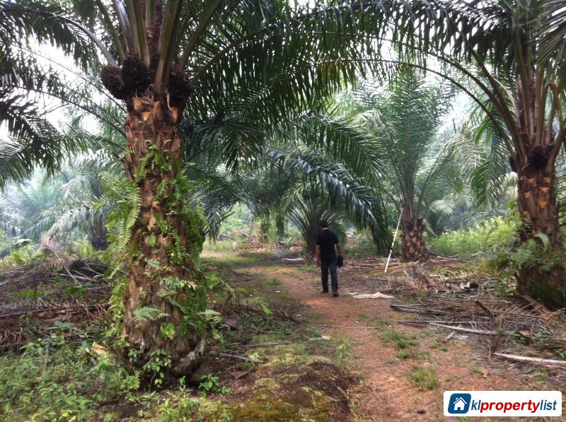 Picture of Agricultural Land for sale in Johor Bahru