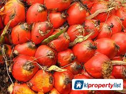 Pictures of Agricultural Land for sale in Cheras