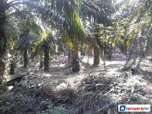 Pictures of Agricultural Land for sale in Cheras