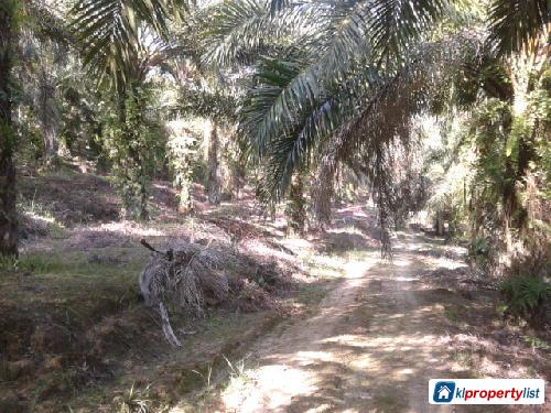 Agricultural Land for sale in Cheras - image 2