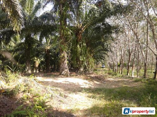 Agricultural Land for sale in Cheras - image 3