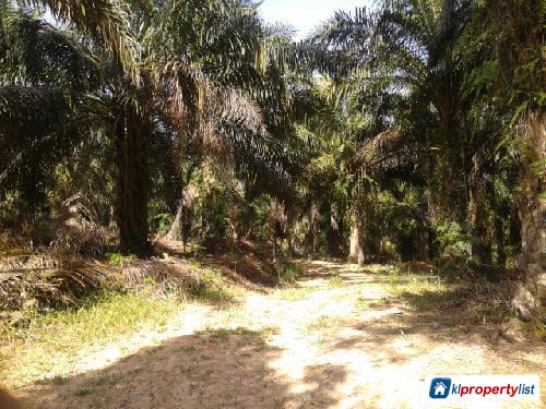 Agricultural Land for sale in Cheras - image 4