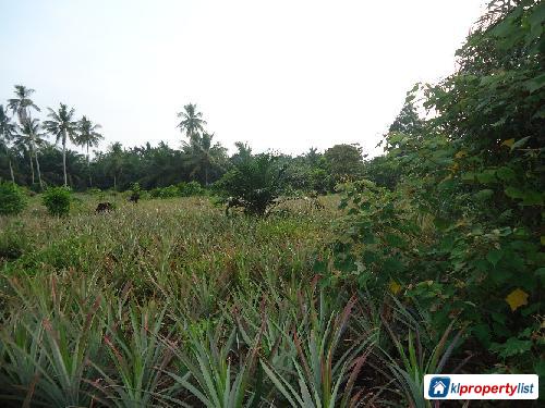 Picture of Agricultural Land for sale in Batu Pahat