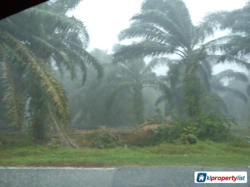 Agricultural Land for sale in Klang - image 1