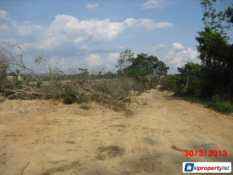 Picture of Agricultural Land for sale in Jerantut