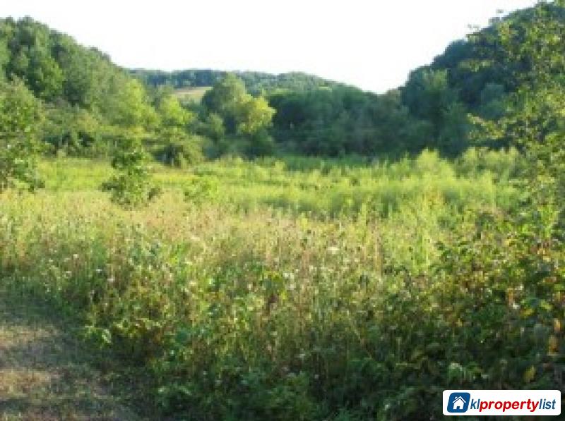 Pictures of Agricultural Land for sale in Simpang Pertang