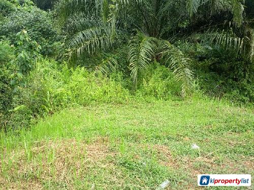 Residential Land for sale in Banting - image 2