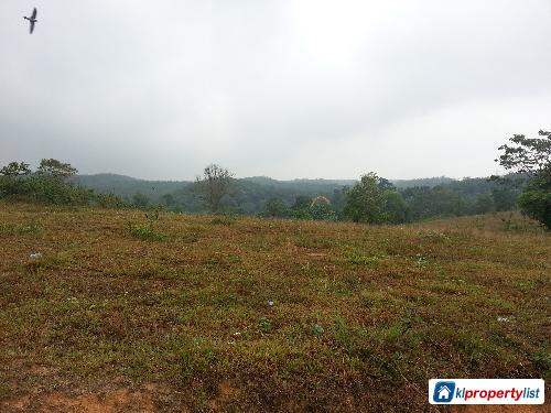 Pictures of Agricultural Land for sale in Seremban