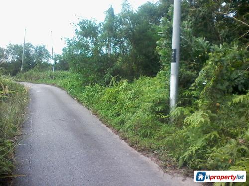 Pictures of Agricultural Land for sale in Seremban