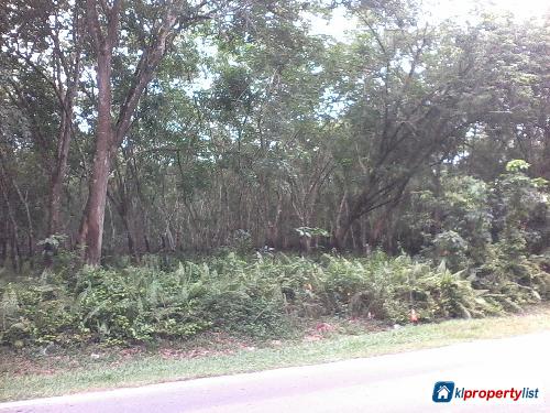 Pictures of Agricultural Land for sale in Seremban