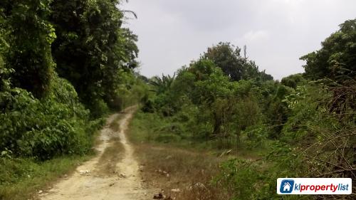 Picture of Agricultural Land for sale in Seremban