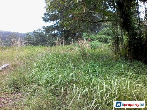 Agricultural Land for sale in Seremban - image 2