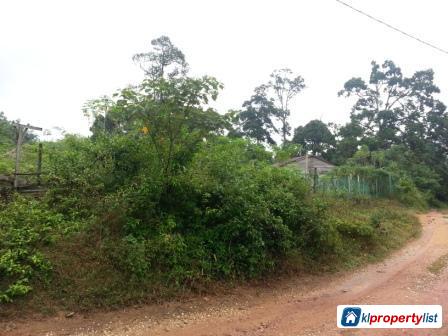 Agricultural Land for sale in Seremban - image 3