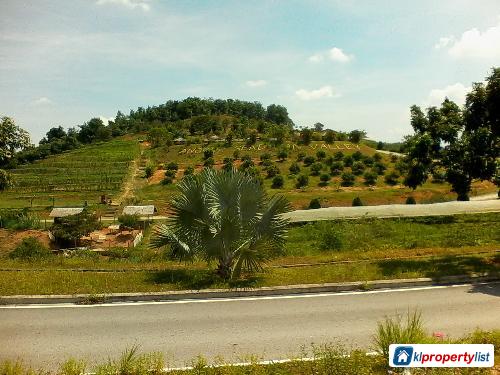 Agricultural Land for sale in Seremban - image 4