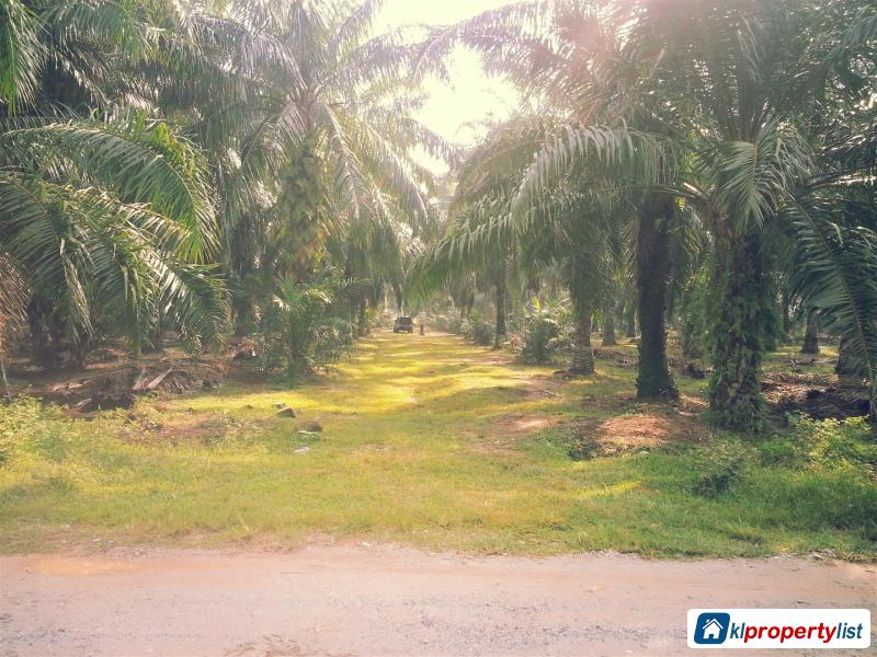Agricultural Land for sale in Setia Alam - image 2