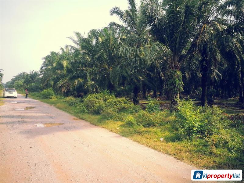 Agricultural Land for sale in Setia Alam - image 3