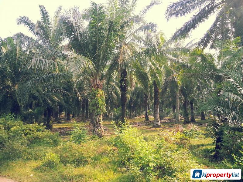Agricultural Land for sale in Setia Alam - image 4