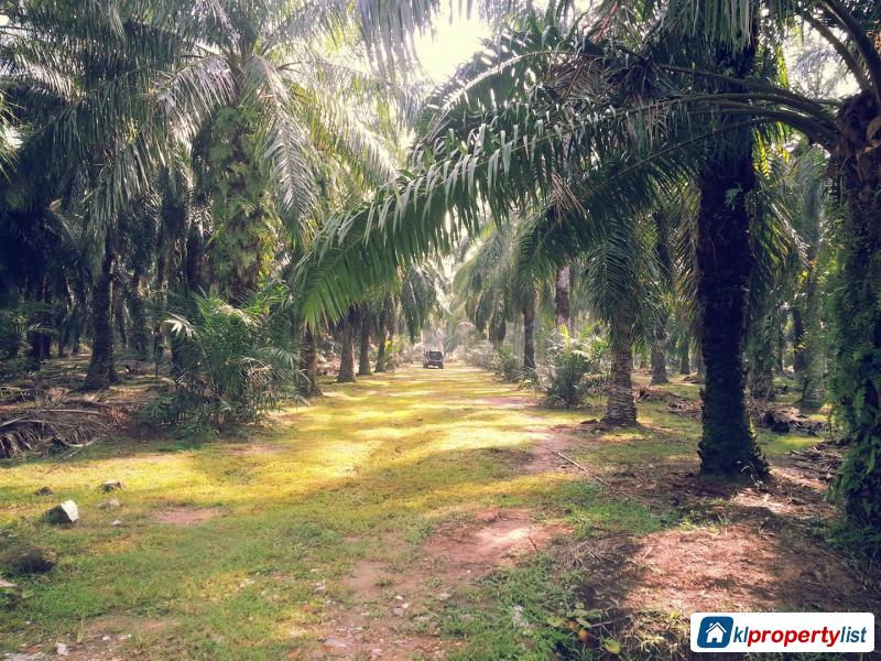 Agricultural Land for sale in Setia Alam - image 5