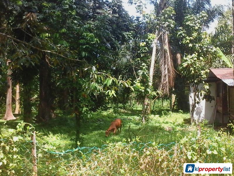 Agricultural Land for sale in Alor Setar - image 2