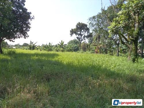 Agricultural Land for sale in Labu - image 3