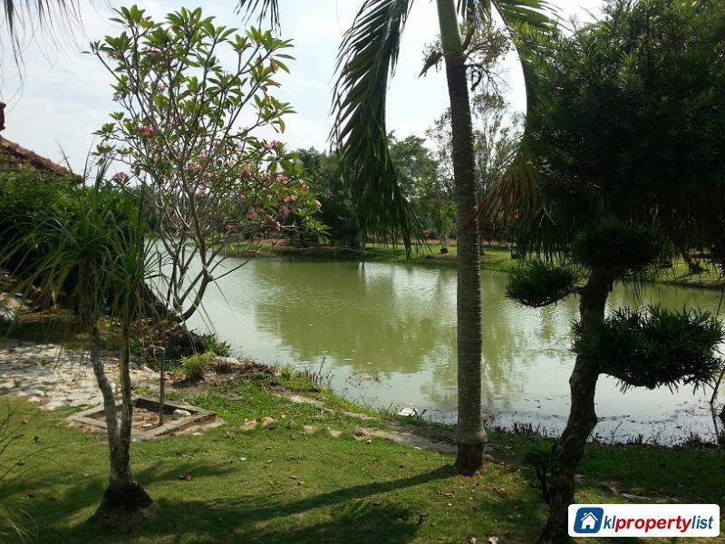 Agricultural Land for sale in Kuala Selangor - image 3