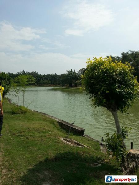 Agricultural Land for sale in Kuala Selangor - image 5