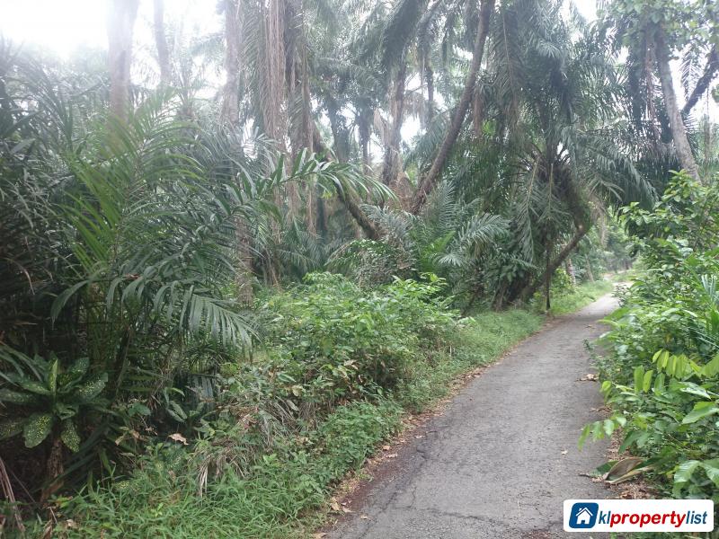 Pictures of Agricultural Land for sale in Banting