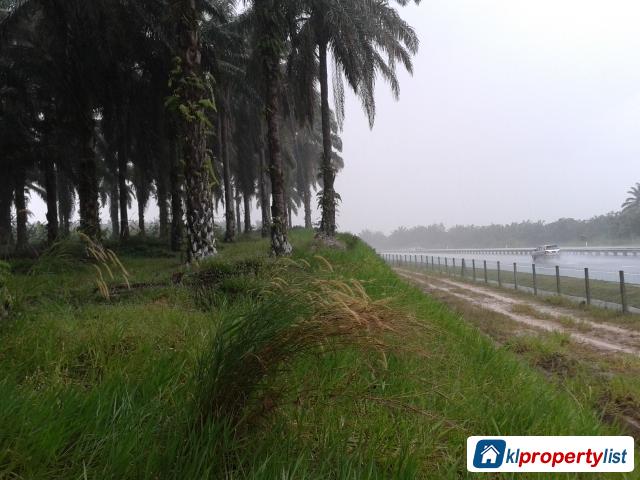 Agricultural Land for sale in Banting - image 4