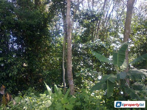 Picture of Agricultural Land for sale in Bangi