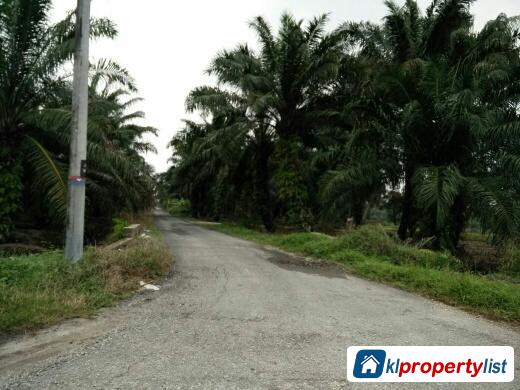 Pictures of Agricultural Land for sale in Banting