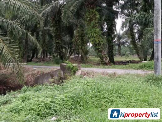 Agricultural Land for sale in Banting - image 4