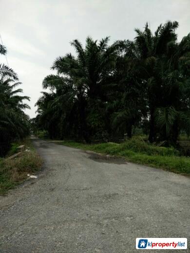 Agricultural Land for sale in Banting - image 6
