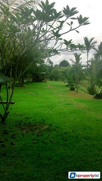 Agricultural Land for sale in Tanjong Karang - image 2