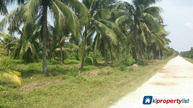 Agricultural Land for sale in Tanjong Karang - image 3