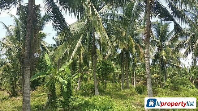 Agricultural Land for sale in Tanjong Karang - image 4